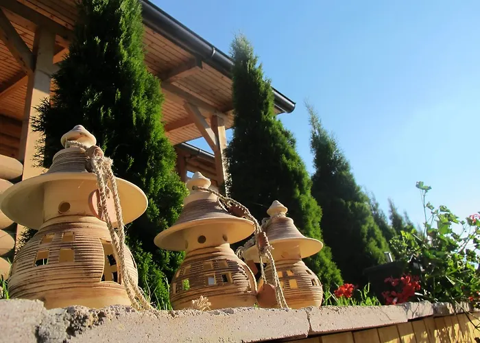 Brvnare Bor * Zlatibor